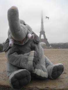 Photobombed by a seagull at the #eiffeltower #paris #pinchme 